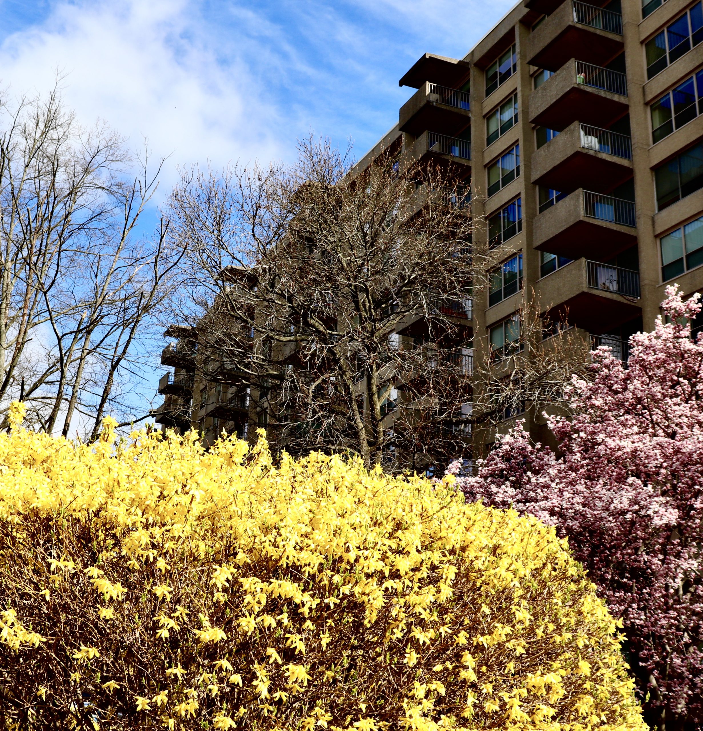 IMG_7824 Green Hill Condominium