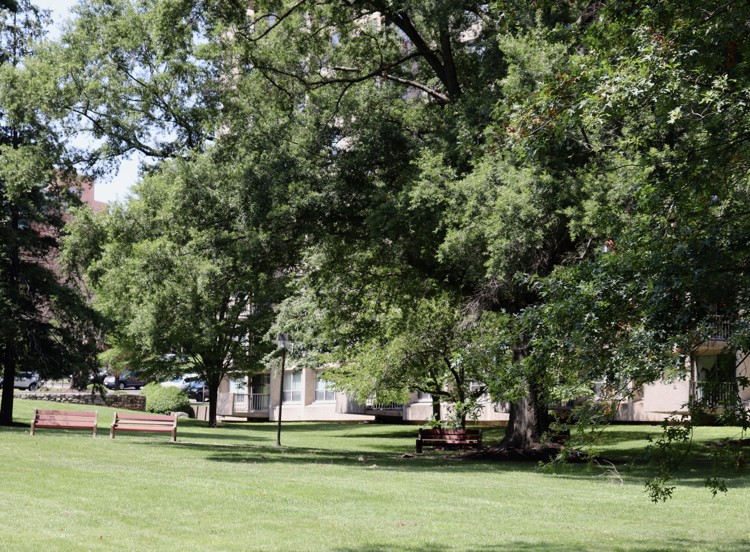 IMG_8149 Green Hill Condominium