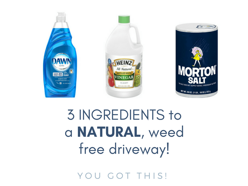 Natural Weed Killer Recipe Green Hill Rocks