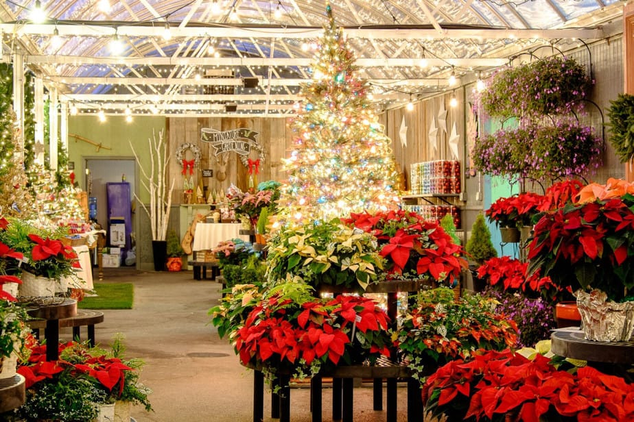 The Best 5 Greenhouse Gift Ideas Greenhouse Info
