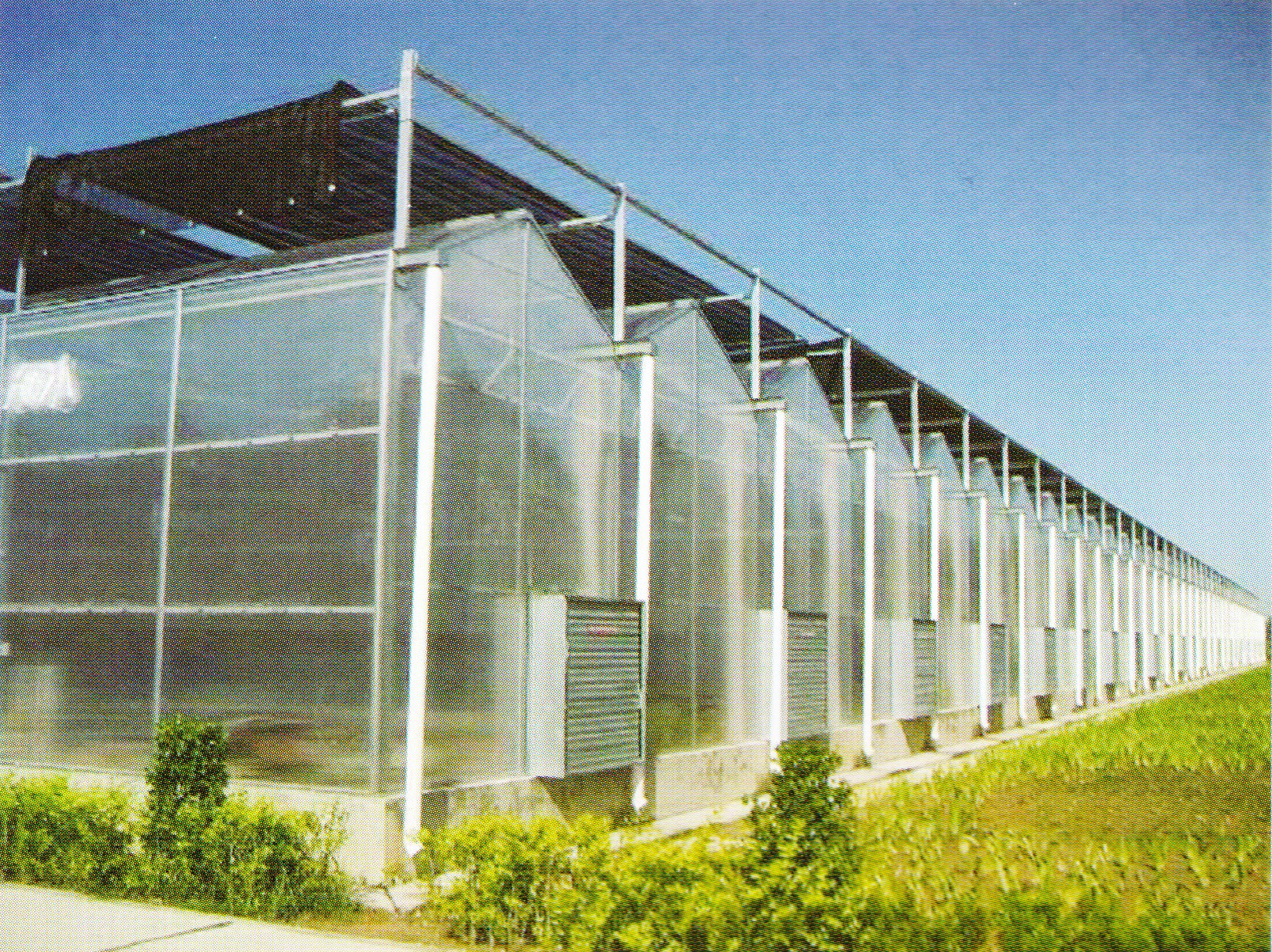 Commercial Greenhouses GreenhouseMax