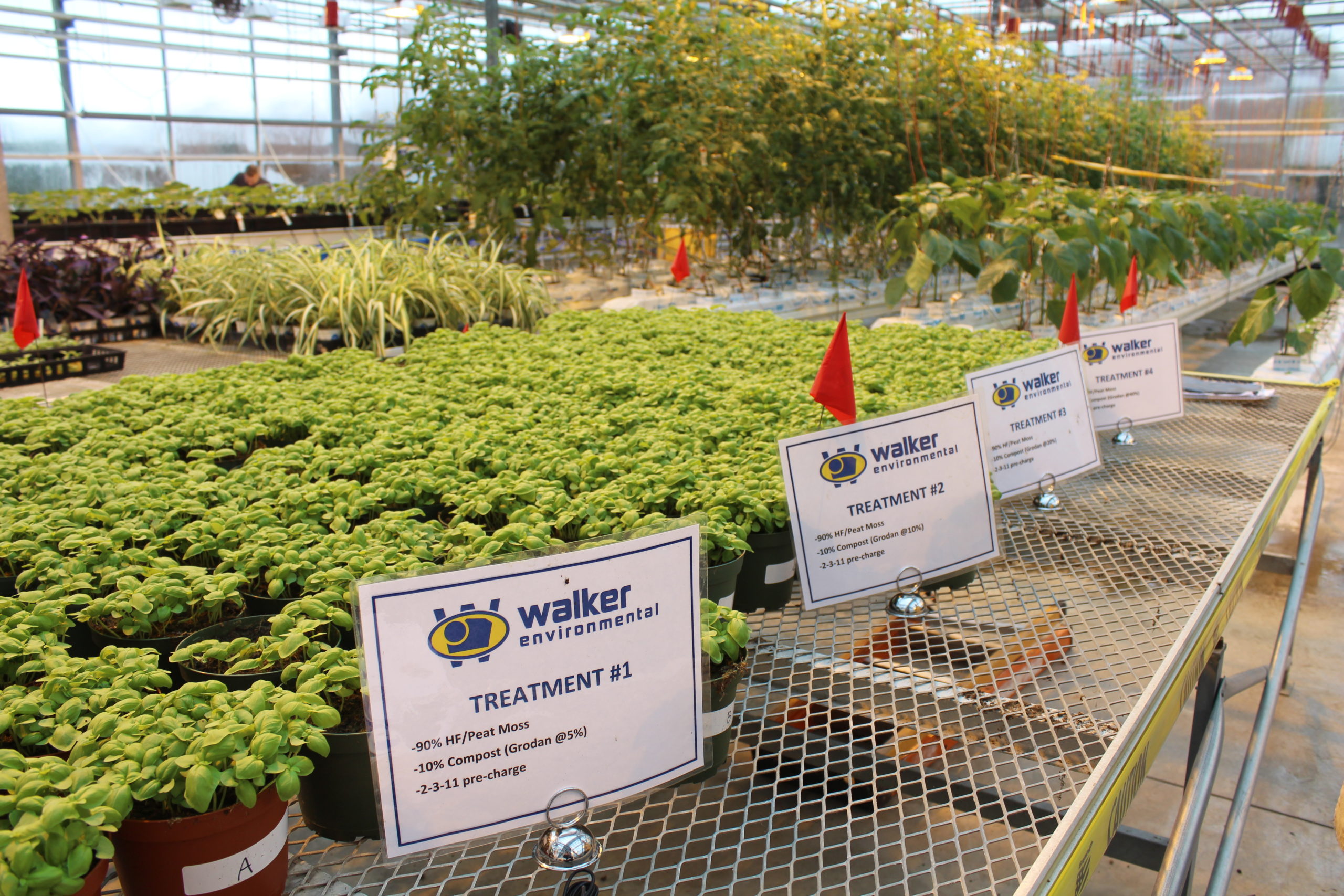 Growing trial of greenhouse waste could help open new markets