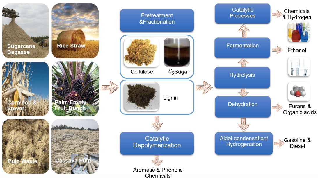 Green BioBased Materials from Agricultural Waste for a Circular