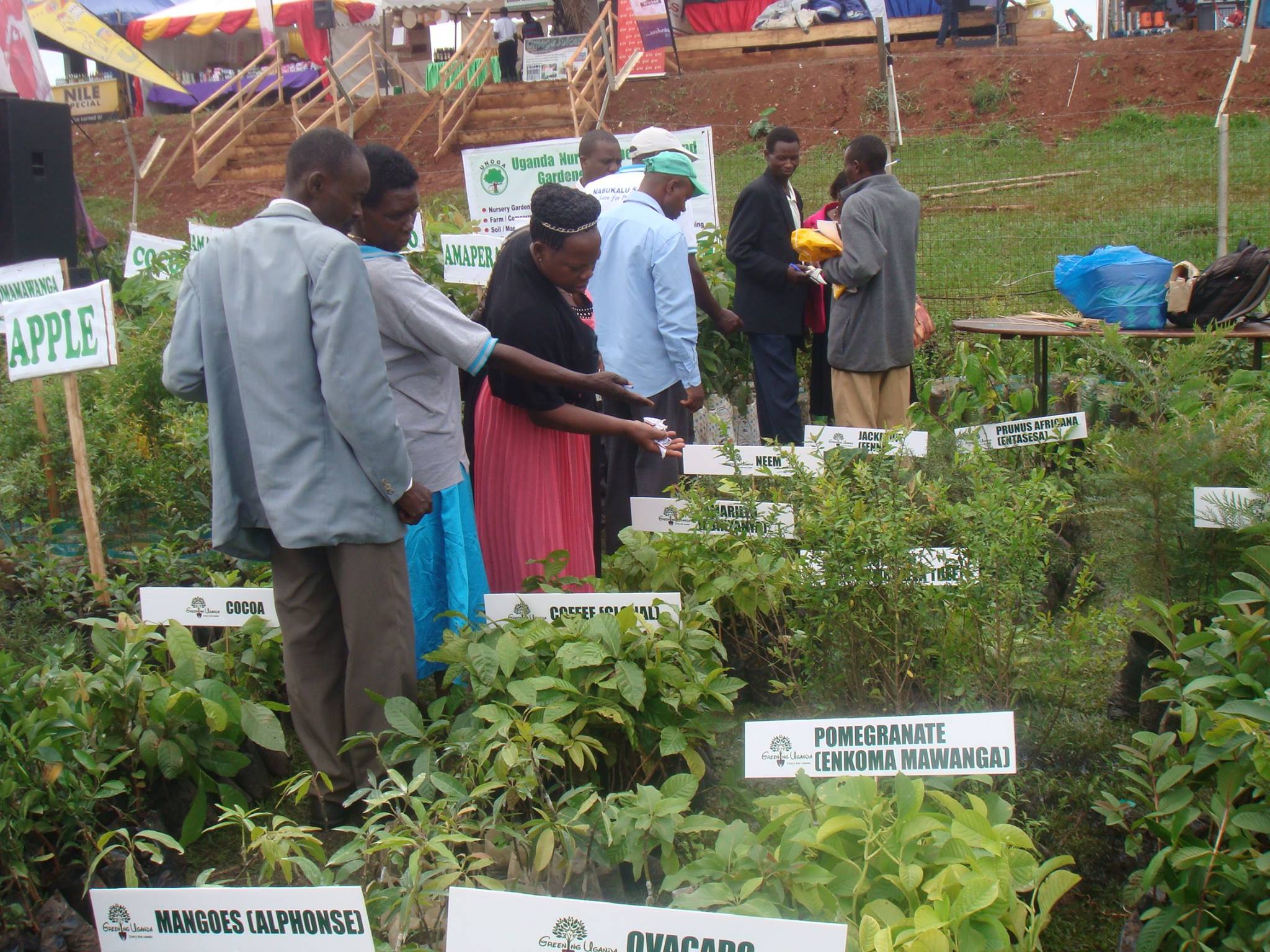 Community Engagement Exhibitions