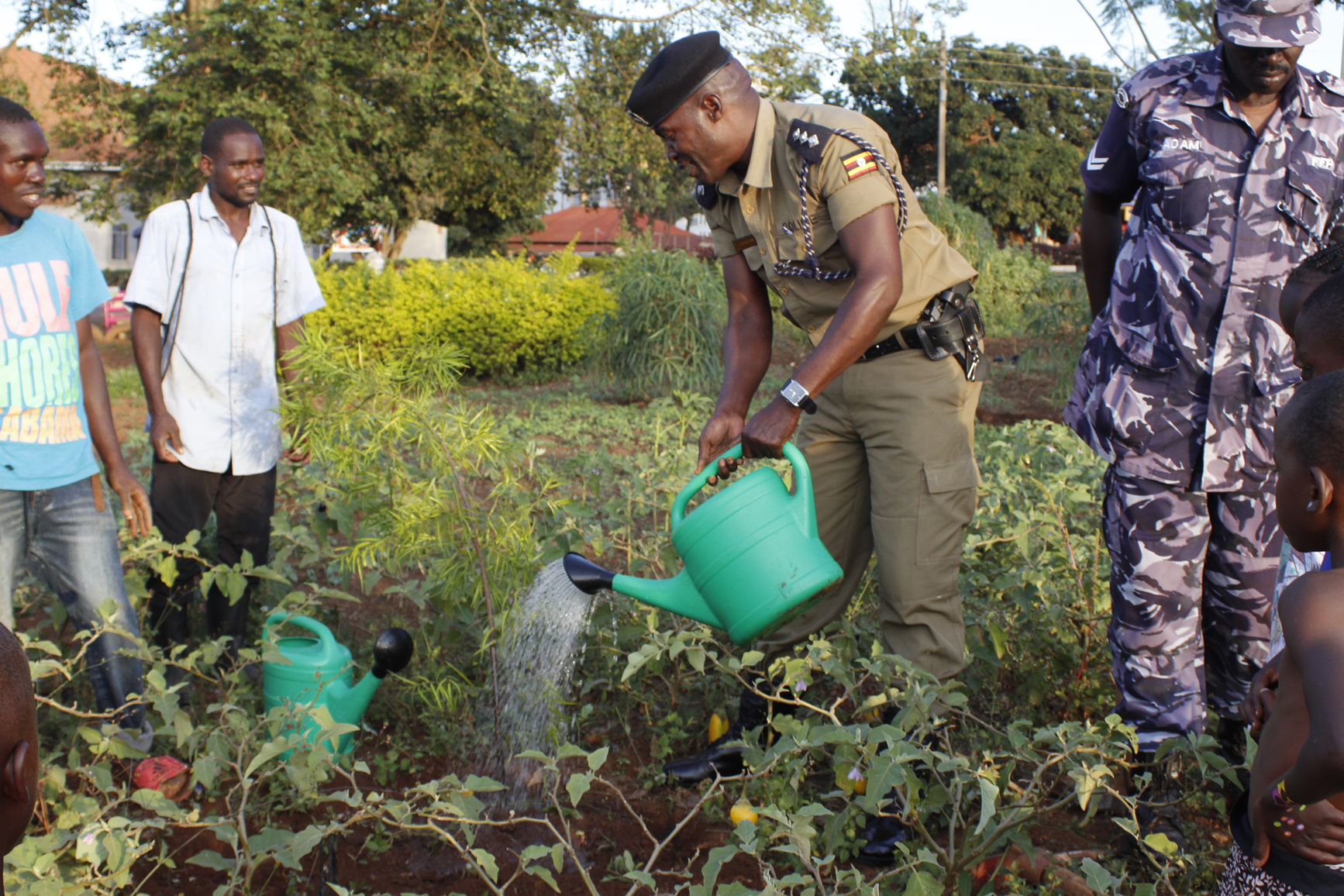 Home . Commumity Tree Planting Project
