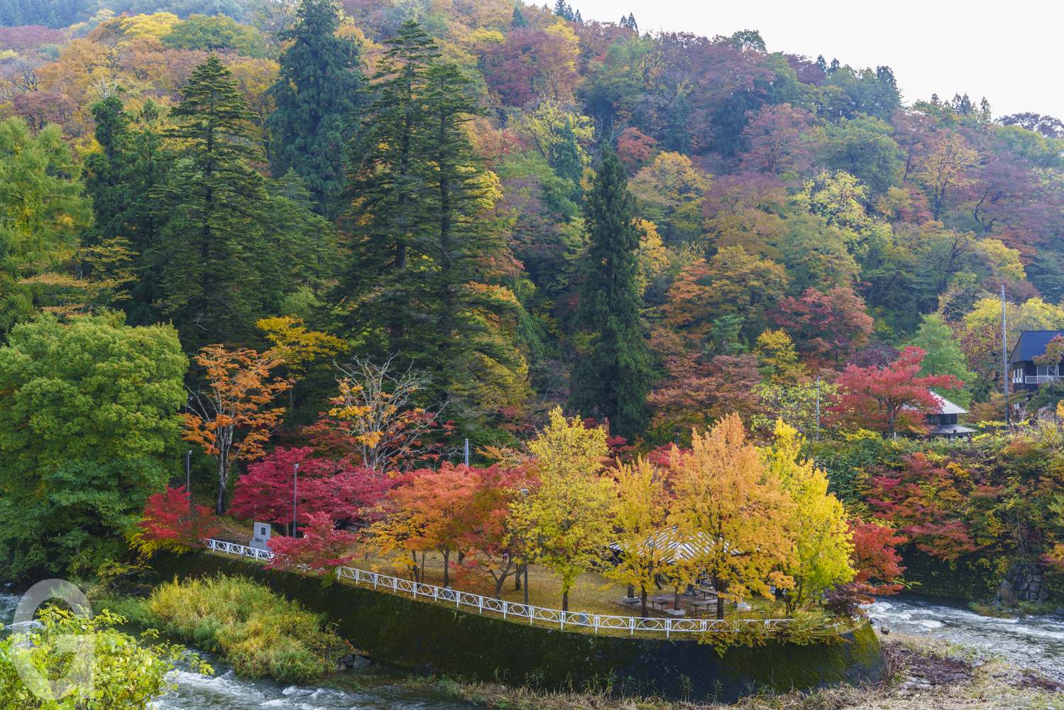 中野もみじ山 | グリーン交通 ｜ 青森県弘前市のタクシーなら