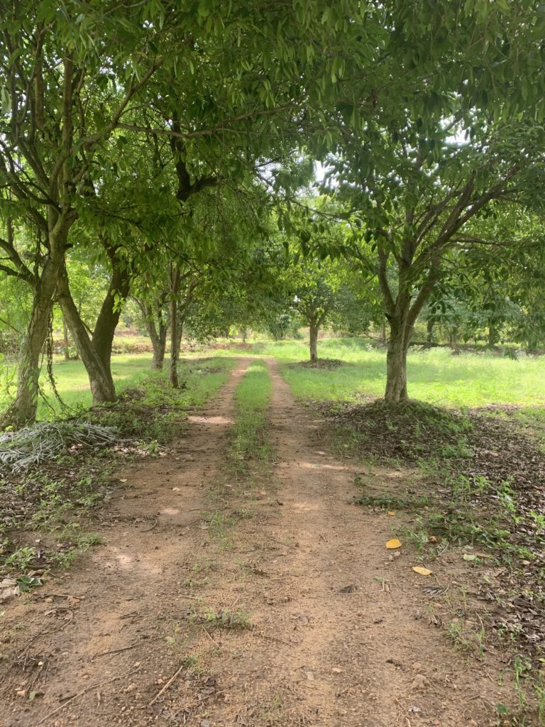 5 Important Benefits of Owning a Farmhouse Green Lakes