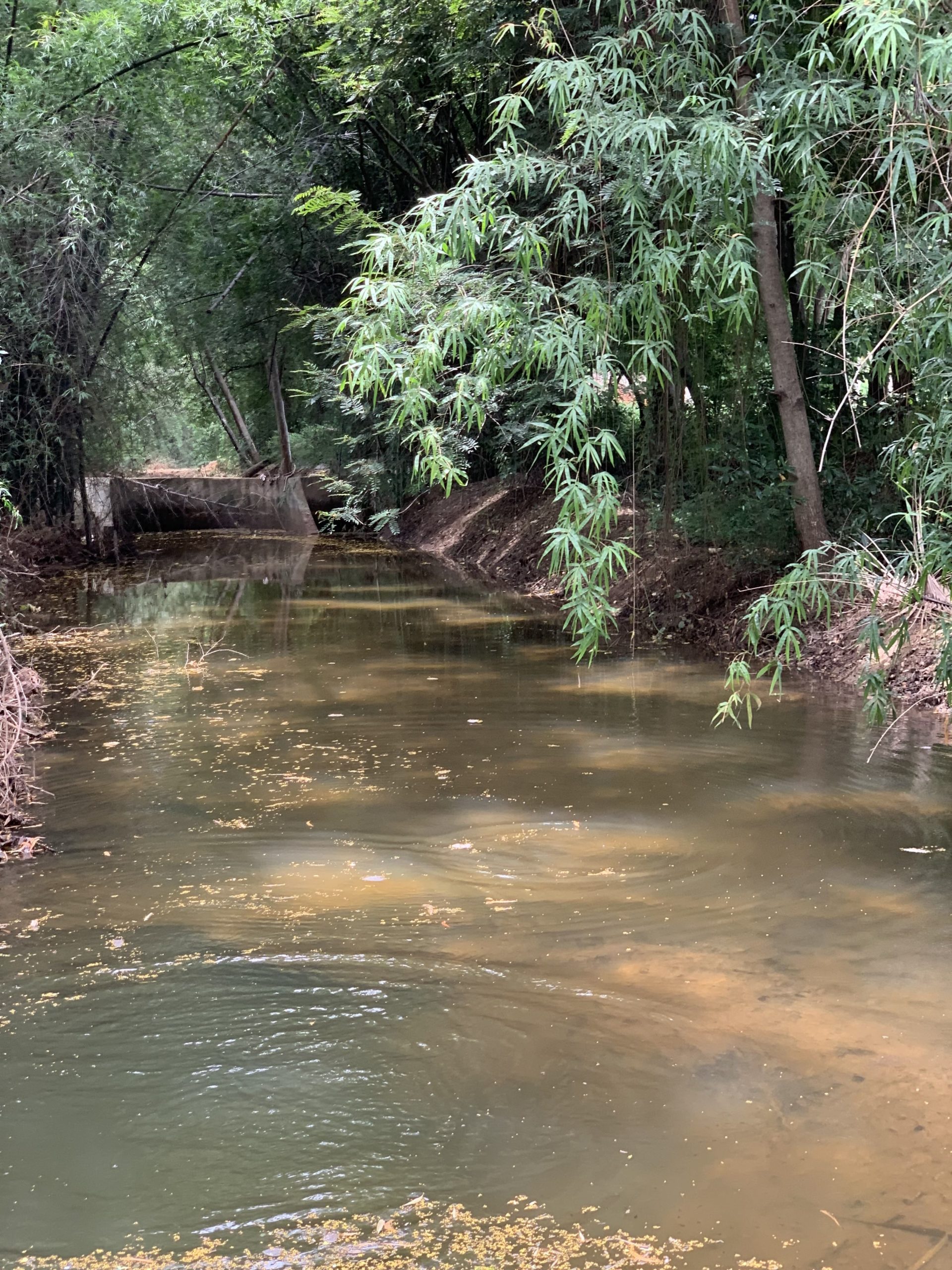 5 Important Benefits of Owning a Farmhouse Green Lakes