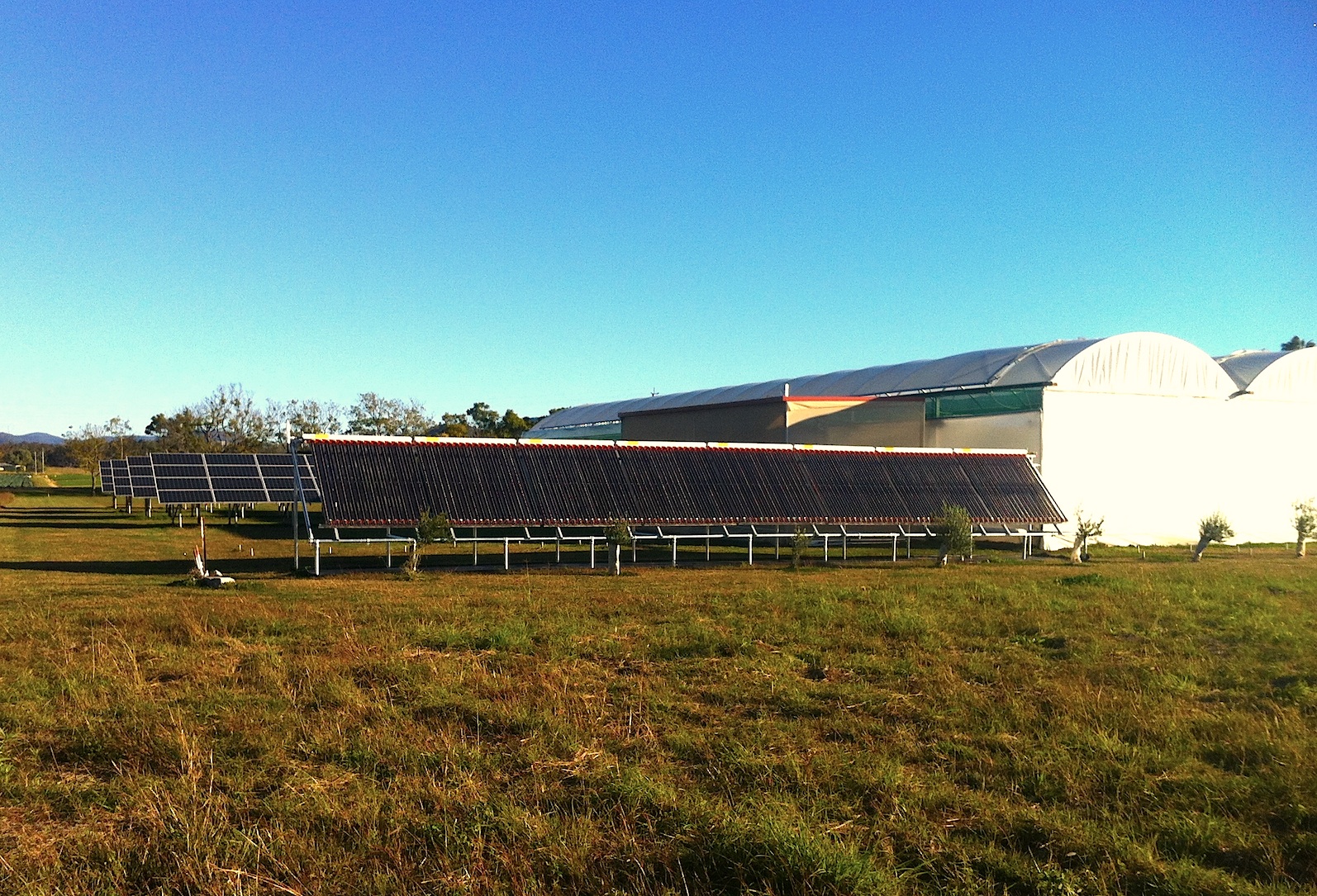 Solar Assisted Greenhouse Heating · GreenLand Systems