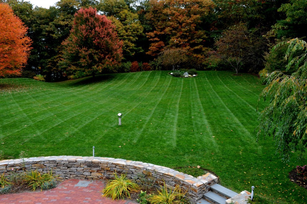 Beautiful Lawns Made in The Fall GreenLawn by Design