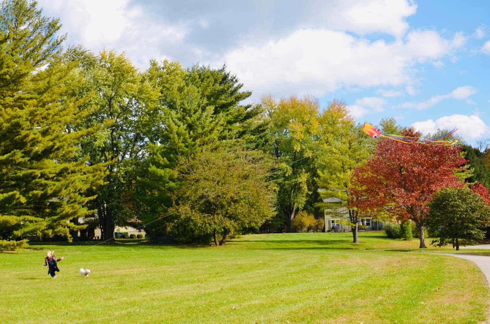 Fall Lawn Care List GreenLawn by Design