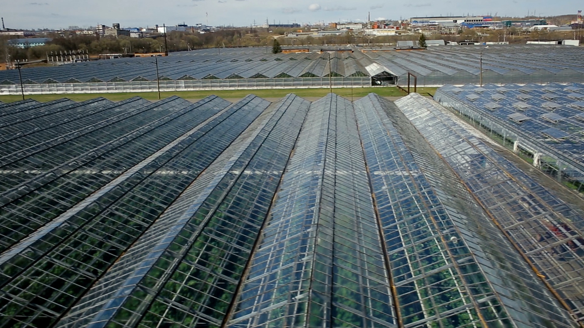 Greenleaf Nutrients Hydroponic and Soil Nutrients