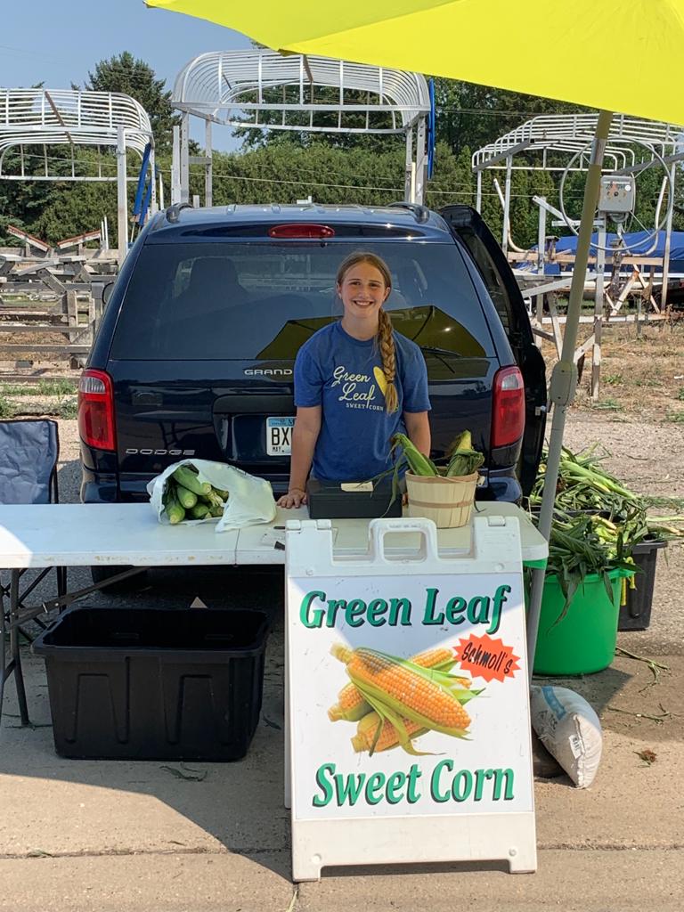 Spicer MN Sweet Corn Stand Green Leaf Sweet Corn