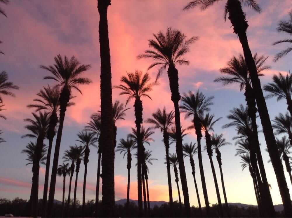 Yelp Reviews Green Leaf Zone