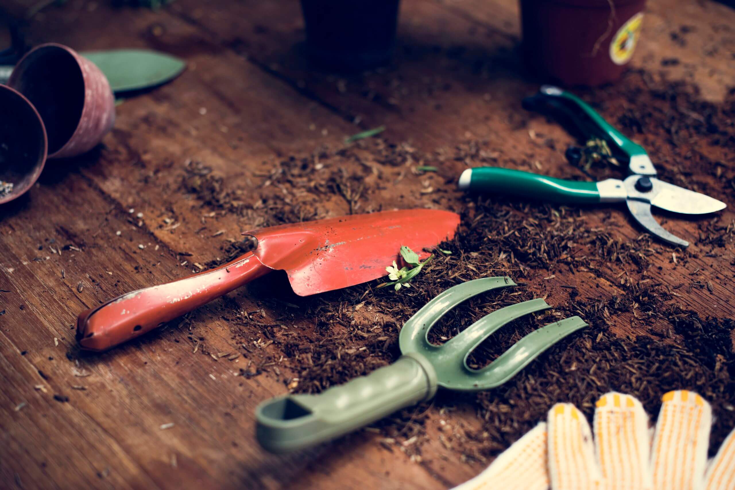 8 Essential Gardening Tools For Every Homeowner Green Leaf Zone