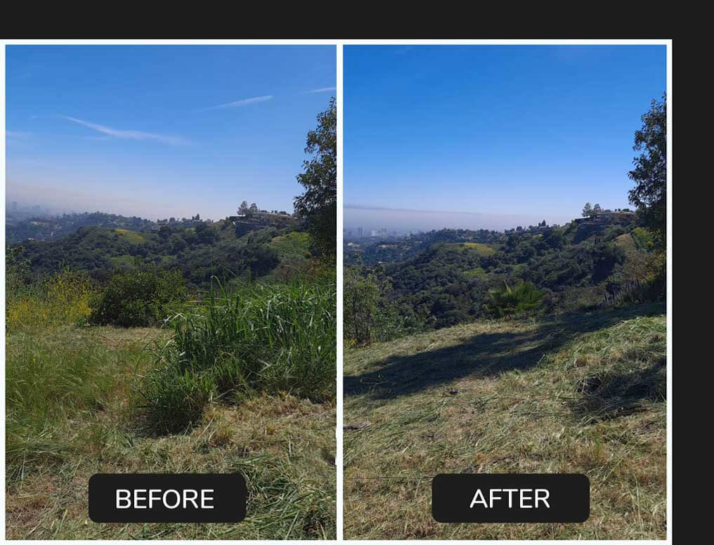 Brush Clearing Green Leaf Zone