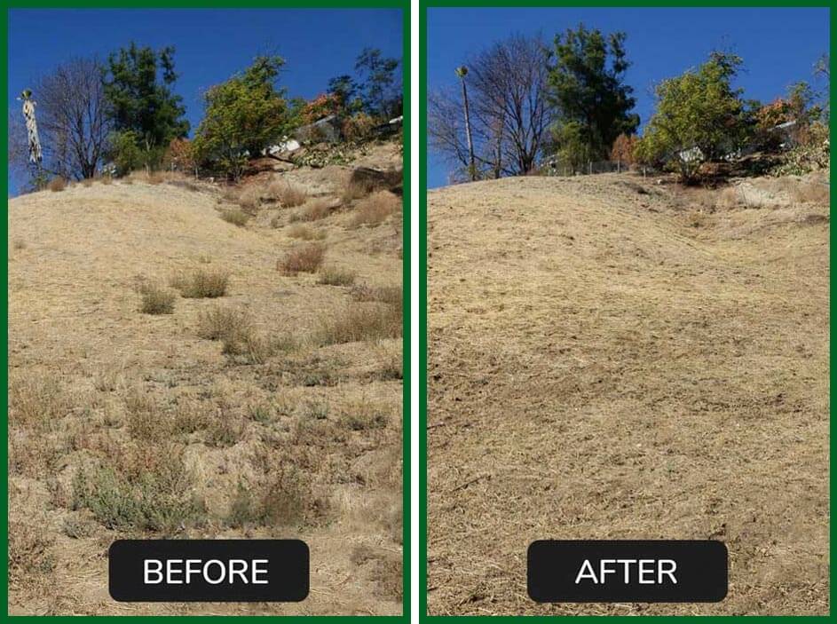 Green Leaf Zone's Gallery Green Leaf Zone