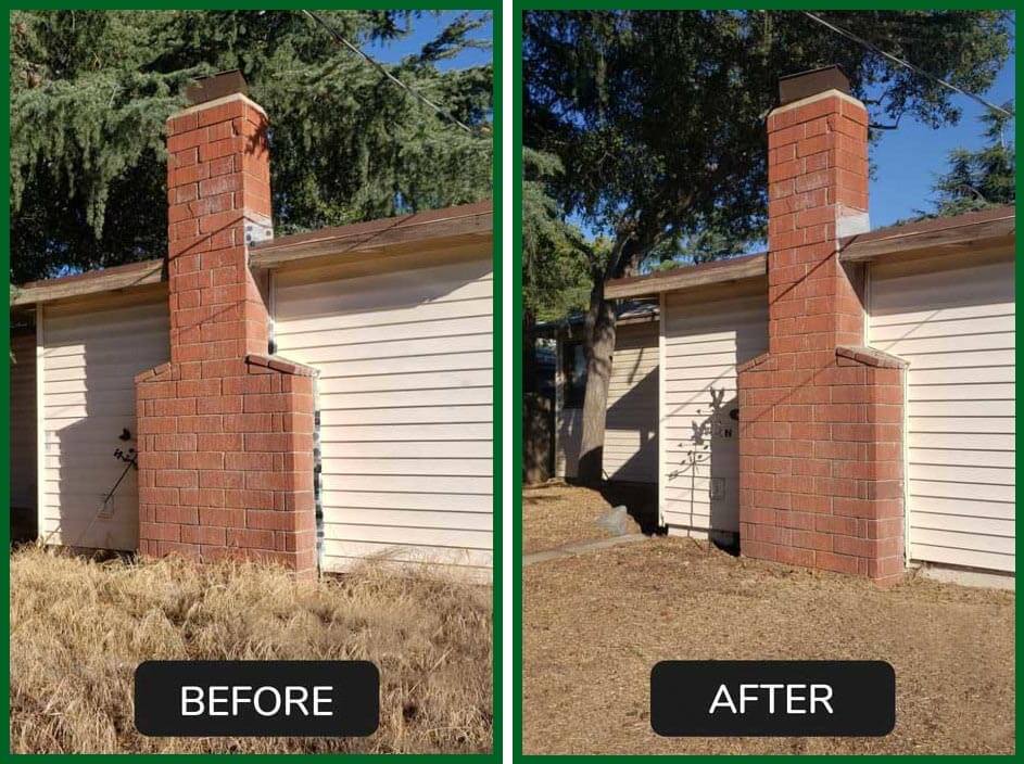 Green Leaf Zone's Gallery Green Leaf Zone