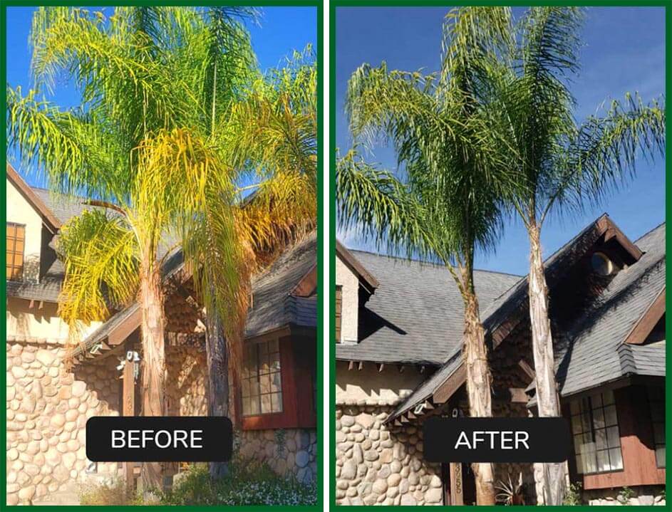 Green Leaf Zone's Gallery Green Leaf Zone