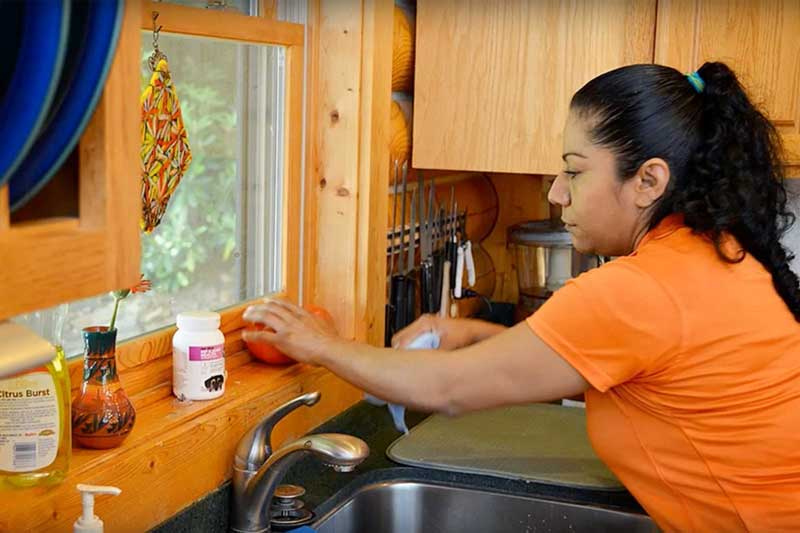 Residential Cleaning Greenlife Professional Cleaning