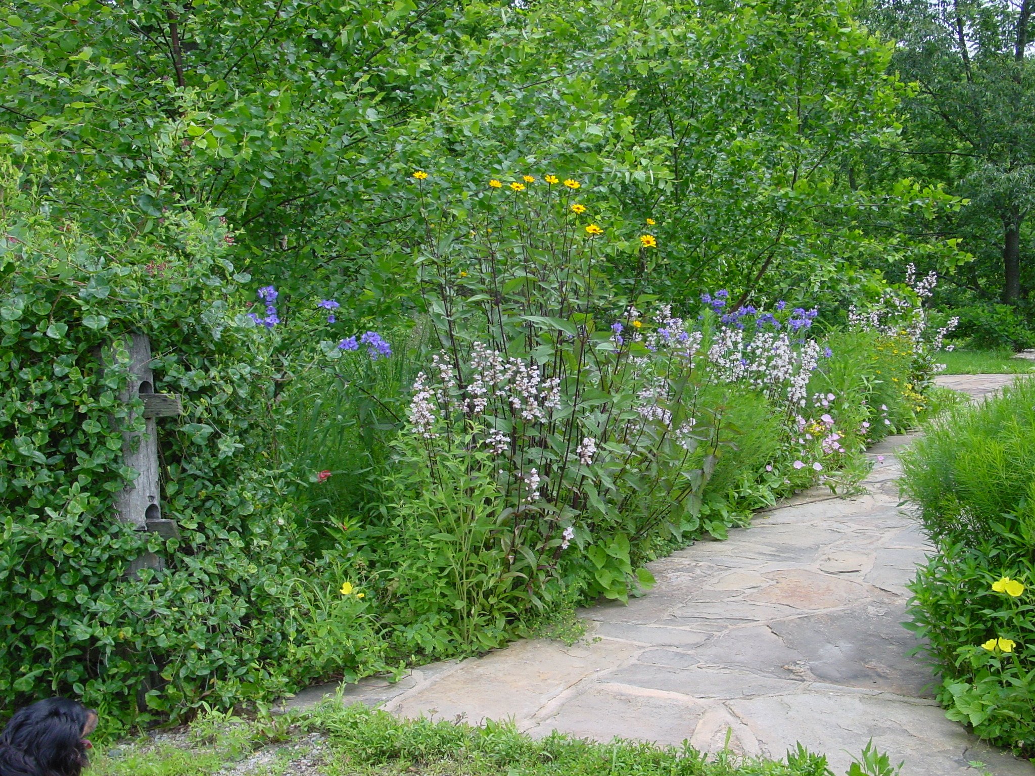 Guiding principles Green Light Plants