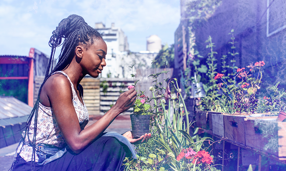 Transformative Climate Communities The Greenlining Institute