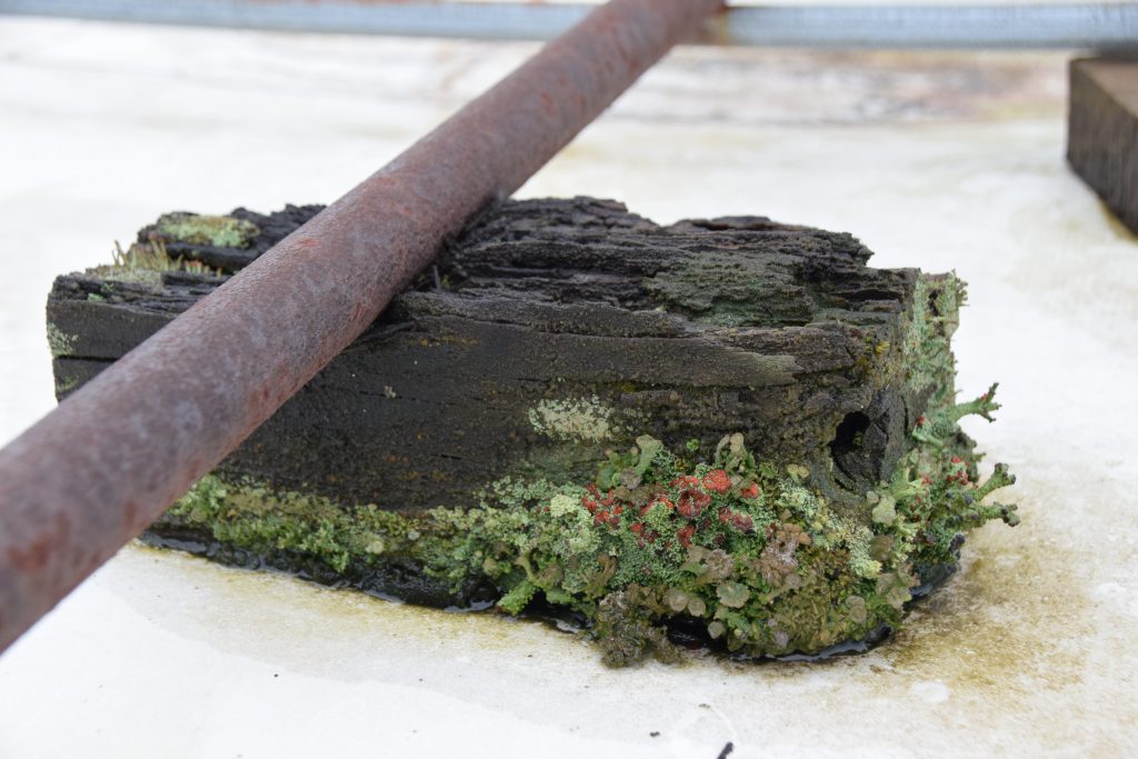 No Sleepers on the Job Green Link Engineering