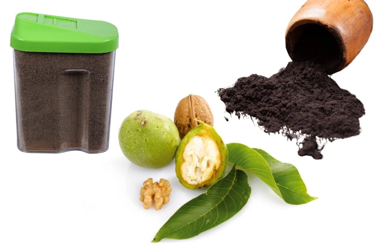 How To Use Black Walnut Hull Powder? Green Living Zone