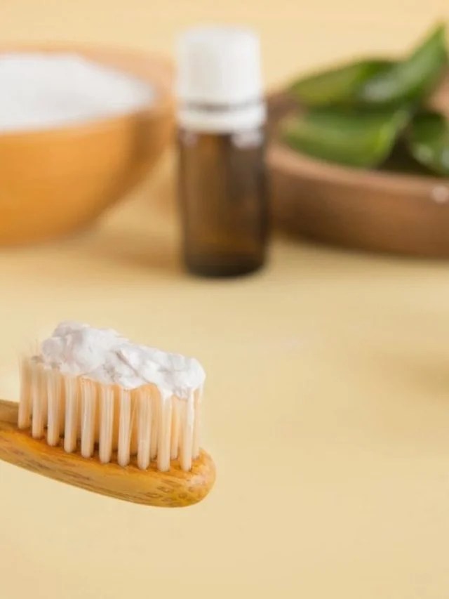 How To Use Tea Tree Oil On Your Gums Green Living Zone