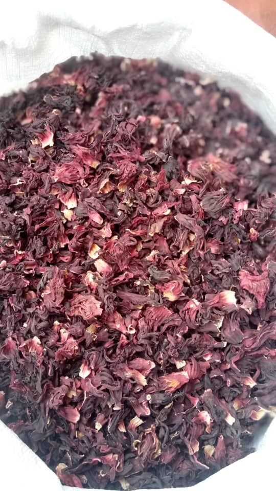 Dried Hibiscus Flowers Supplier GreenLord Resources
