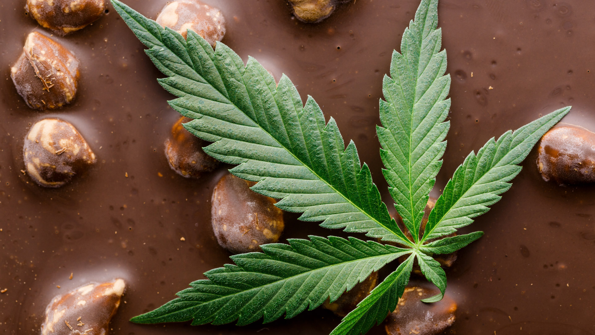 3 Easy Tips For CBD Edibles That Actually Taste Good
