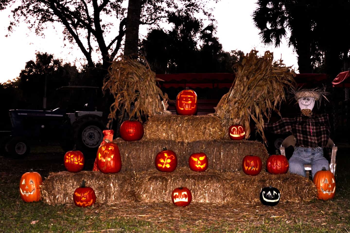 HALLOWEEN Green Meadows Farm