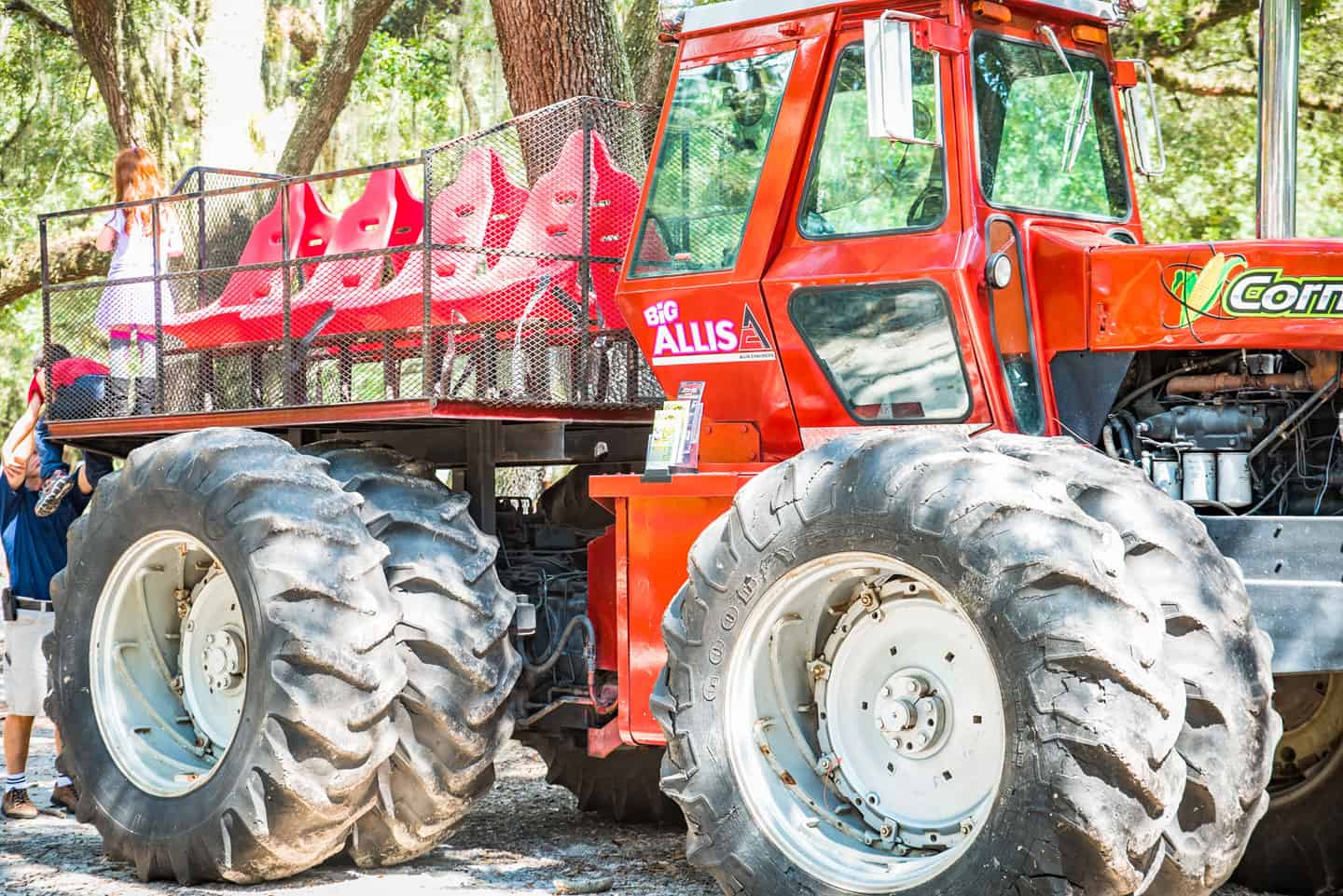 CORNFEST Green Meadows Farm