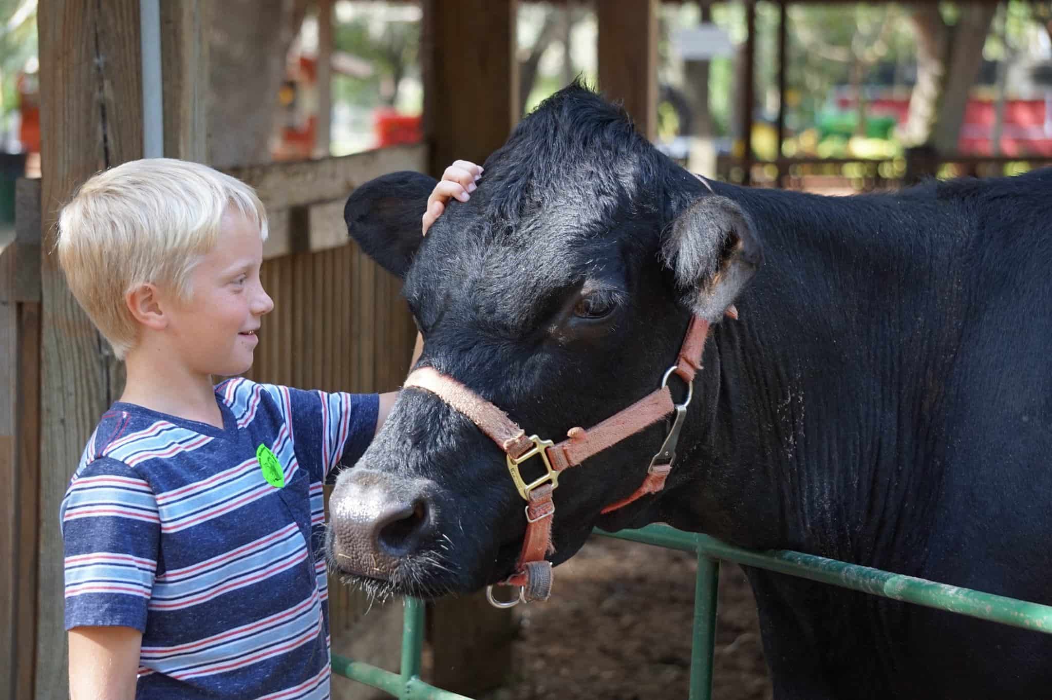 THE FARM Green Meadows Farm