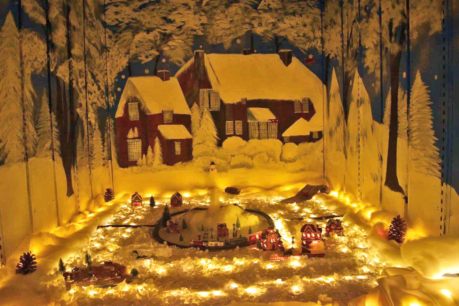 CHRISTMAS LIGHTS Green Meadows Farm