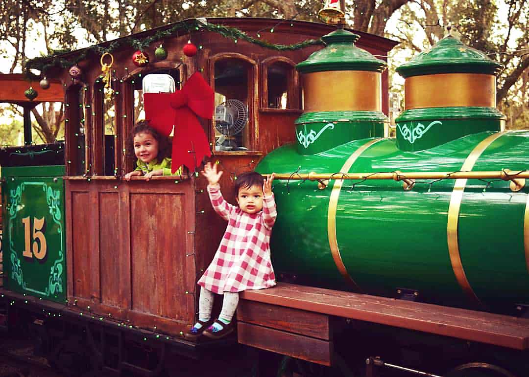 CHRISTMAS LIGHTS Green Meadows Farm