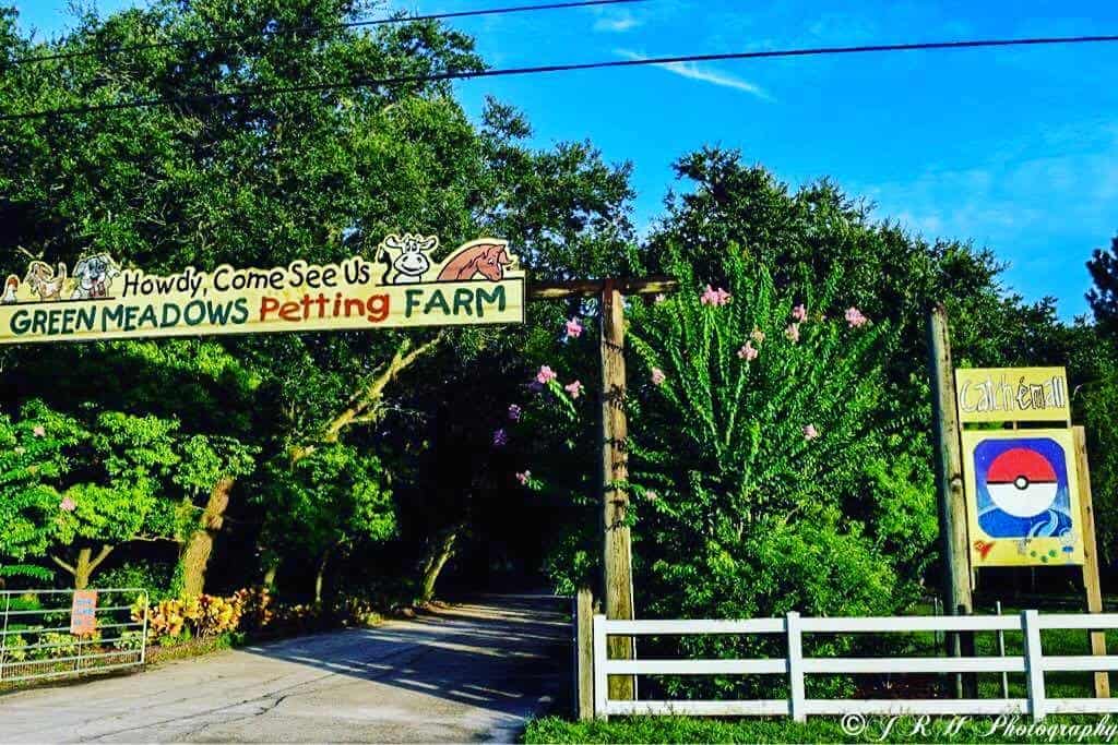 THE FARM Green Meadows Farm