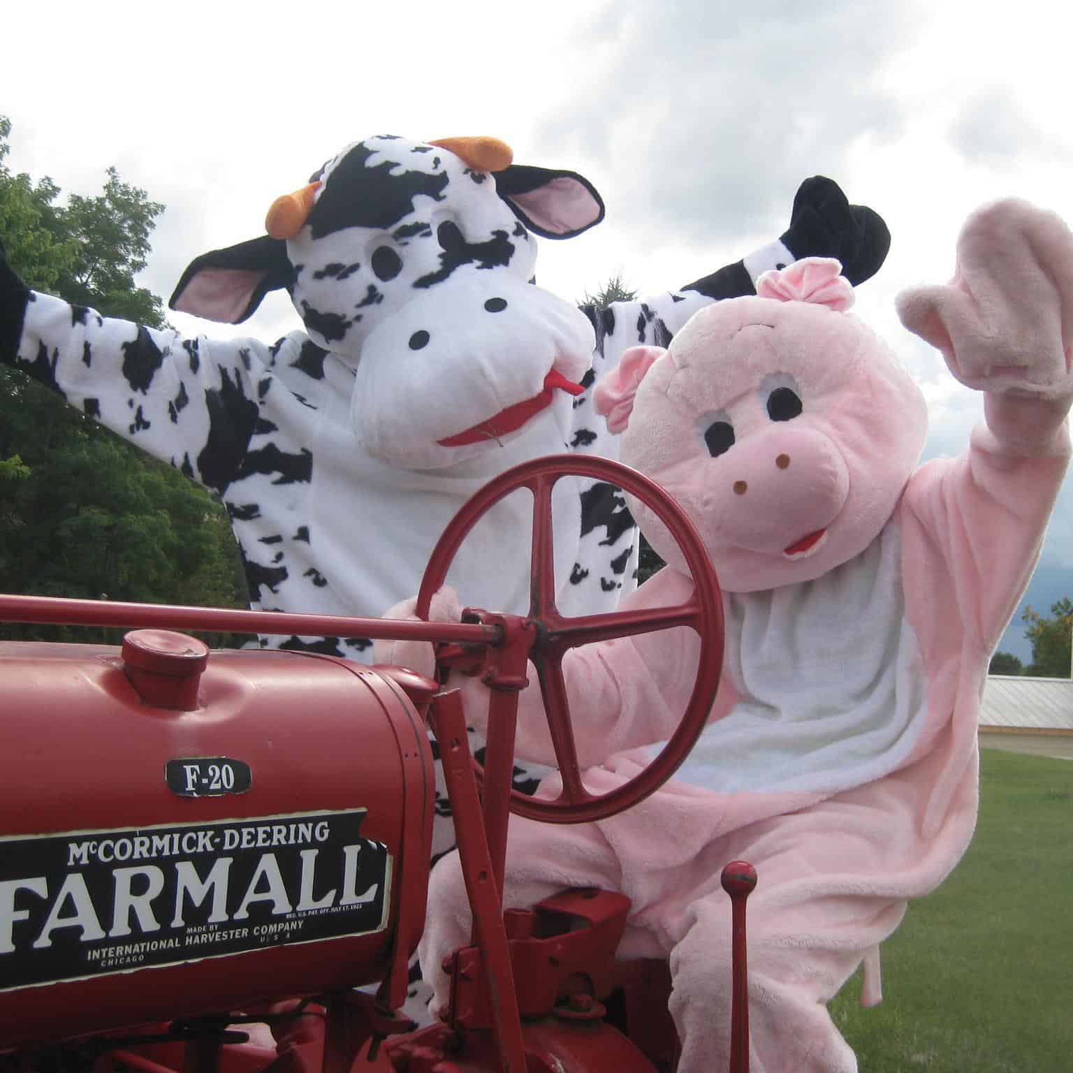 THE FARM Green Meadows Farm