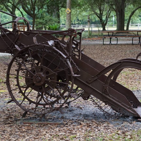 THE FARM Green Meadows Farm