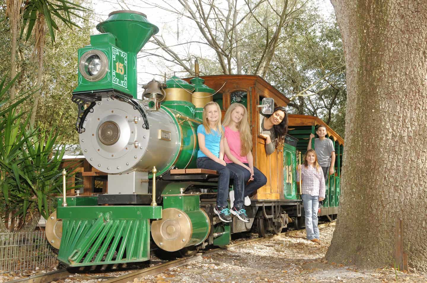 THE FARM Green Meadows Farm