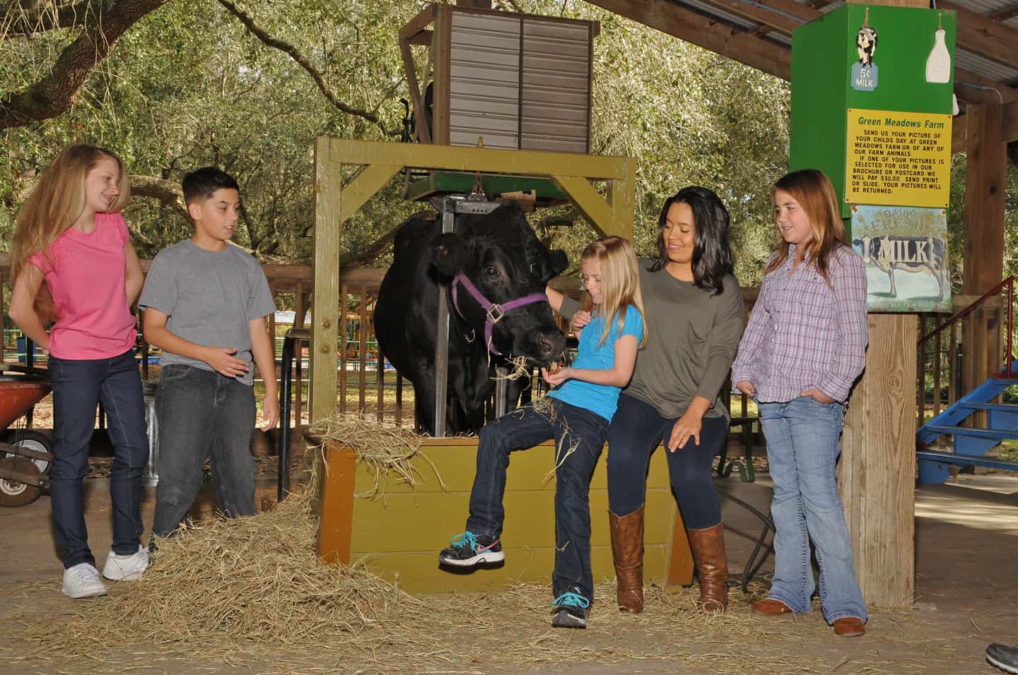 THE FARM Green Meadows Farm