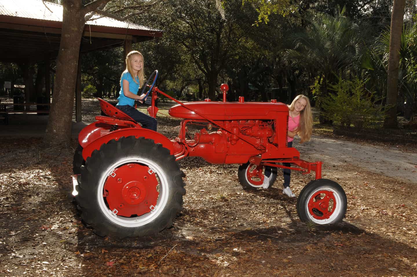 THE FARM Green Meadows Farm