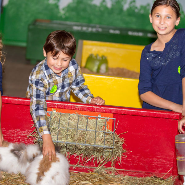 THE FARM Green Meadows Farm