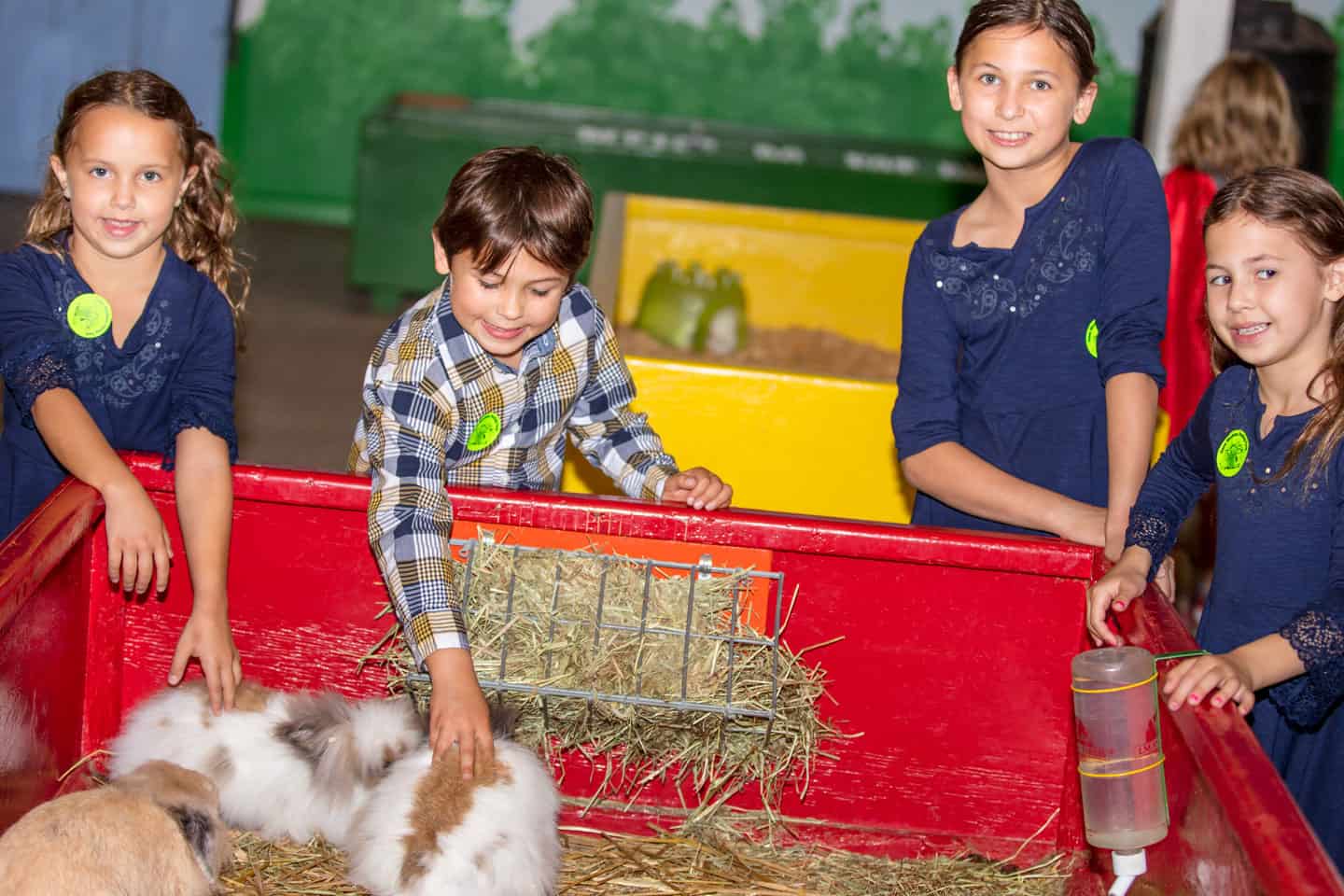 THE FARM Green Meadows Farm