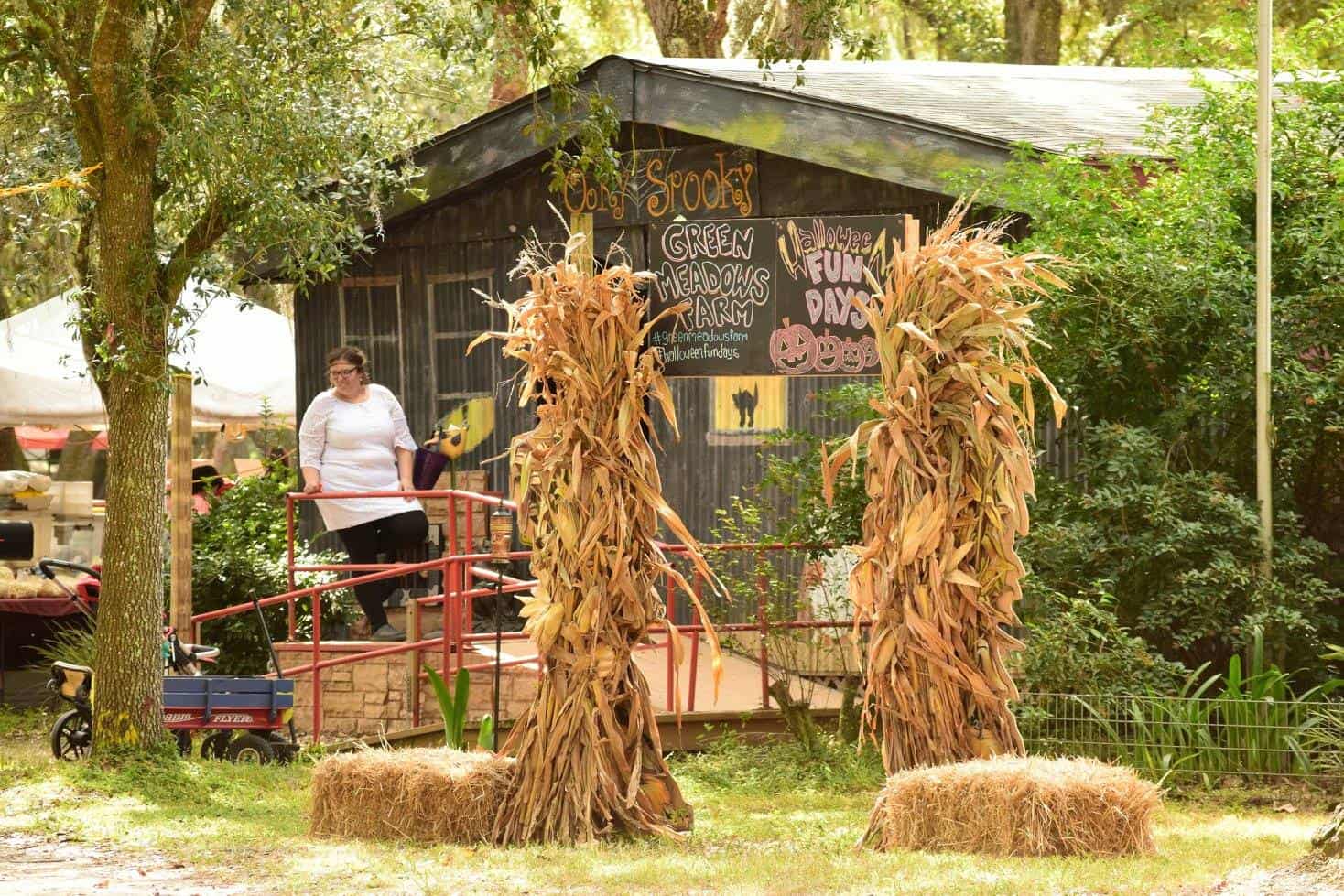 Photo Albums Green Meadows Farm