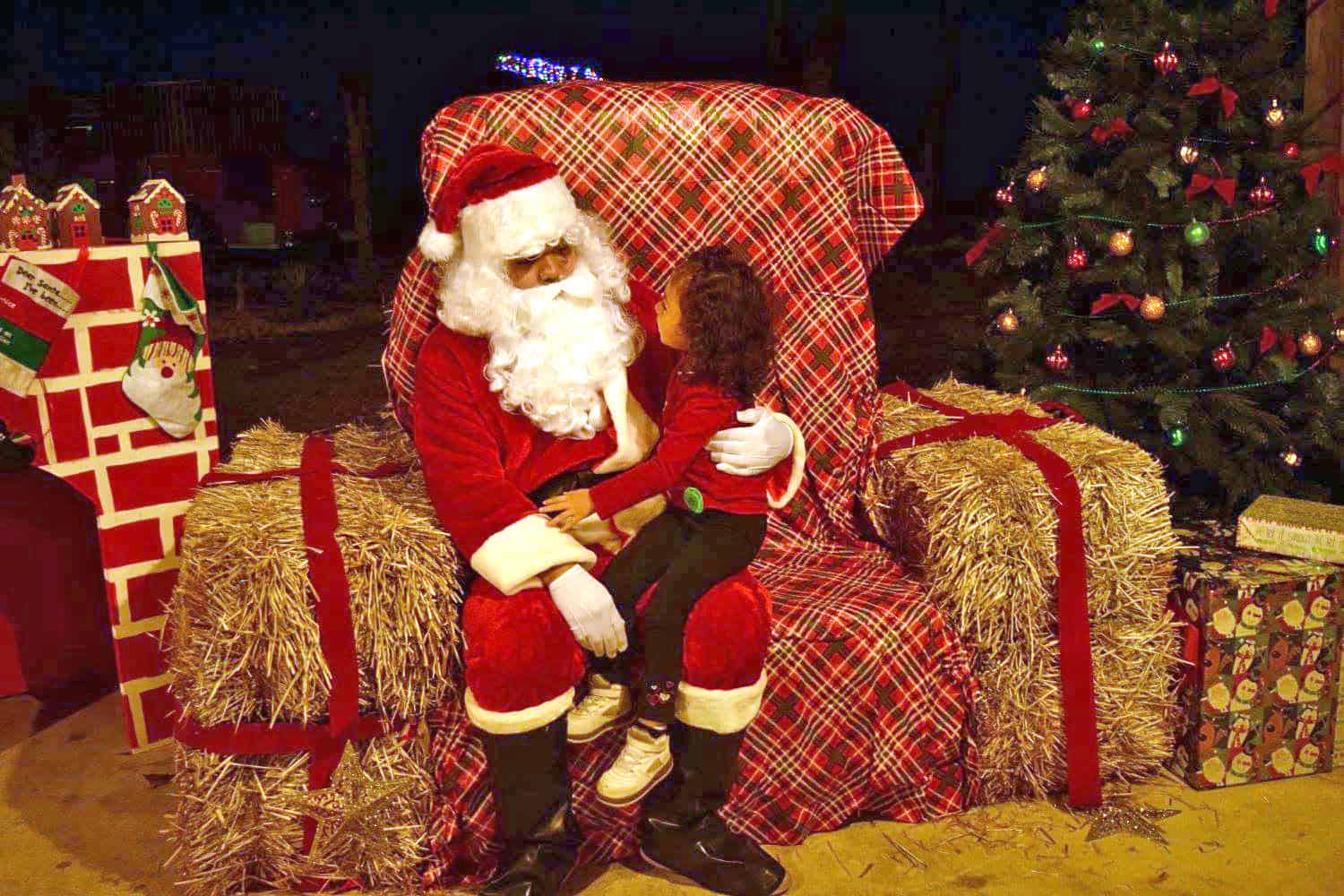 CHRISTMAS LIGHTS Green Meadows Farm