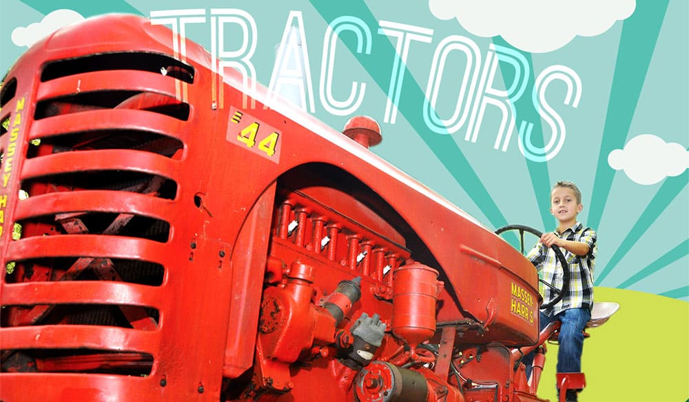 Green Meadows Farm Educational fun with animals for kids