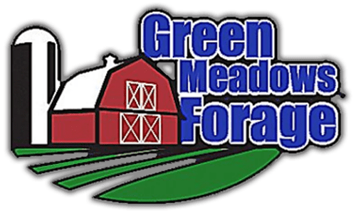 Green Meadows Forage | WELCOME