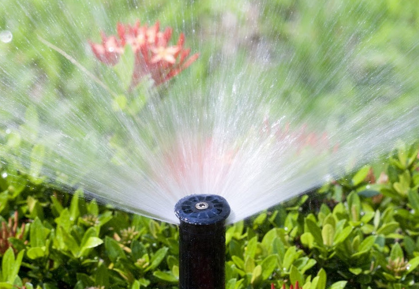 What to Do If Your Sprinkler Coverage is too High Green Mountain Turf