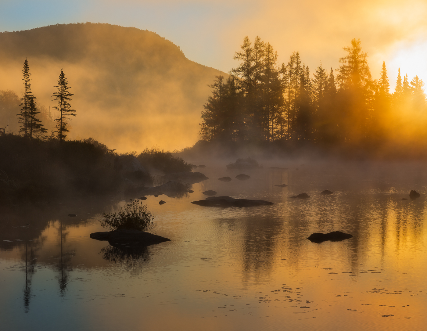 Spring in Vermont Photography Nature and Landscape